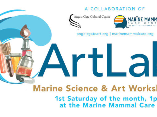 ArtLab: Painting Dolphin Relatives with Artist-Teacher Gloria – Sold Out